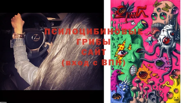 ешки Мурманск