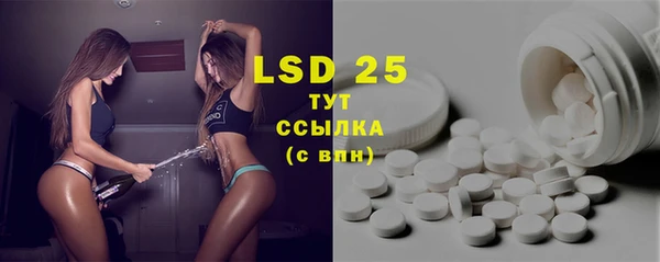 сатива Лабытнанги