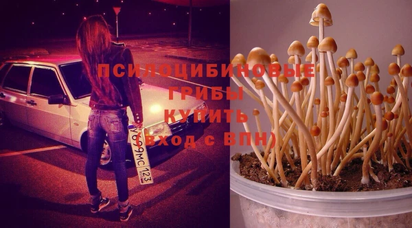MDMA Premium VHQ Кукмор
