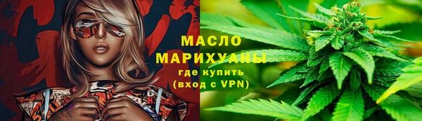 сатива Лабытнанги