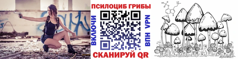 что такое наркотик  Ельня  Псилоцибиновые грибы Psilocybine cubensis 