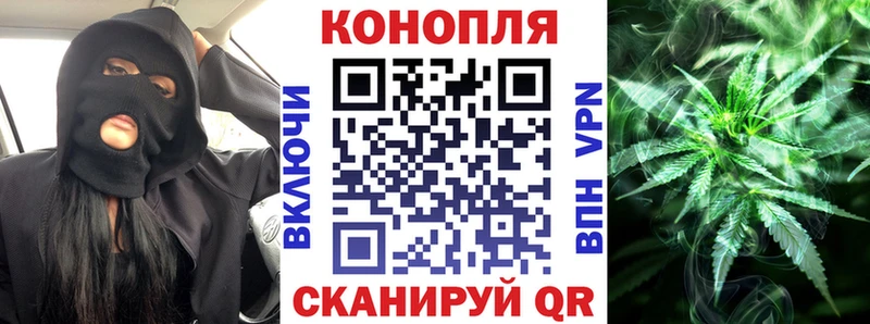 закладка  Ельня  Канабис план 